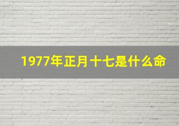 1977年正月十七是什么命