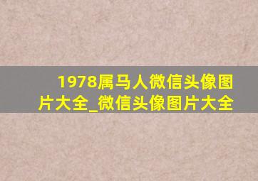 1978属马人微信头像图片大全_微信头像图片大全