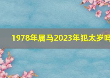 1978年属马2023年犯太岁吗