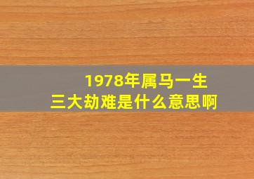 1978年属马一生三大劫难是什么意思啊