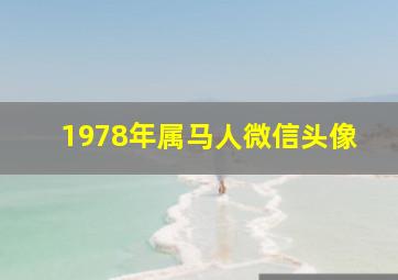 1978年属马人微信头像