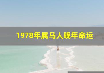 1978年属马人晚年命运