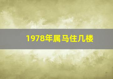 1978年属马住几楼