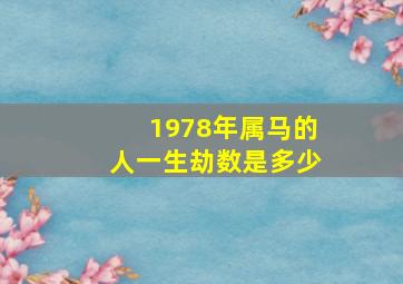 1978年属马的人一生劫数是多少