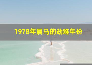 1978年属马的劫难年份