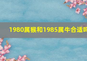 1980属猴和1985属牛合适吗