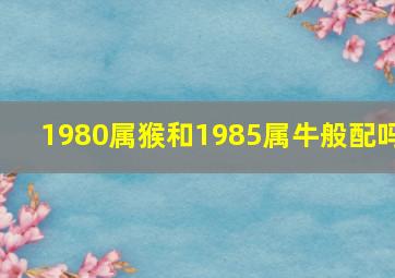 1980属猴和1985属牛般配吗