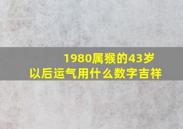 1980属猴的43岁以后运气用什么数字吉祥