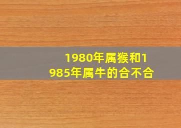 1980年属猴和1985年属牛的合不合