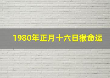 1980年正月十六日猴命运