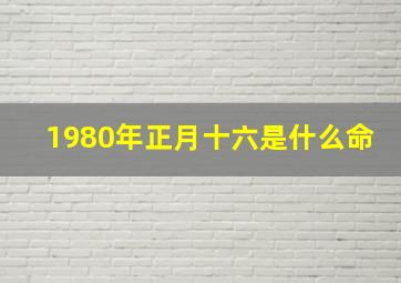 1980年正月十六是什么命