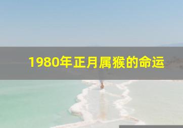 1980年正月属猴的命运