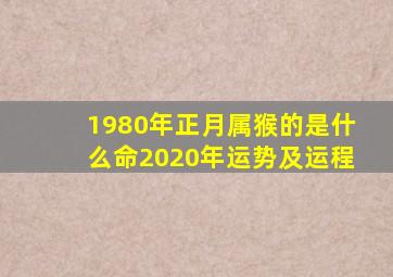 1980年正月属猴的是什么命2020年运势及运程