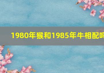 1980年猴和1985年牛相配吗