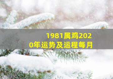 1981属鸡2020年运势及运程每月