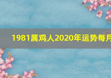 1981属鸡人2020年运势每月