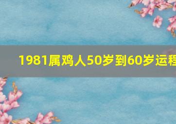 1981属鸡人50岁到60岁运程