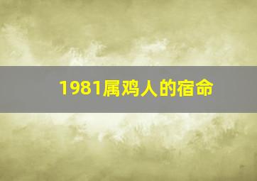 1981属鸡人的宿命