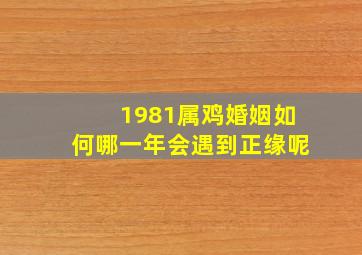 1981属鸡婚姻如何哪一年会遇到正缘呢