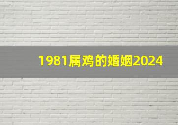 1981属鸡的婚姻2024