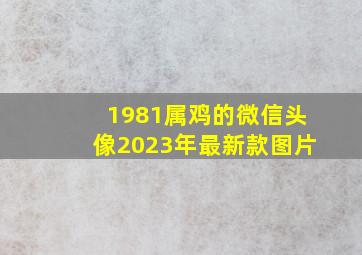 1981属鸡的微信头像2023年最新款图片