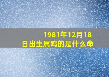 1981年12月18日出生属鸡的是什么命