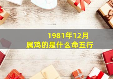 1981年12月属鸡的是什么命五行