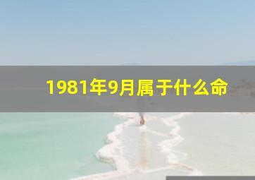 1981年9月属于什么命