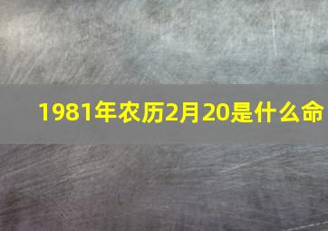 1981年农历2月20是什么命