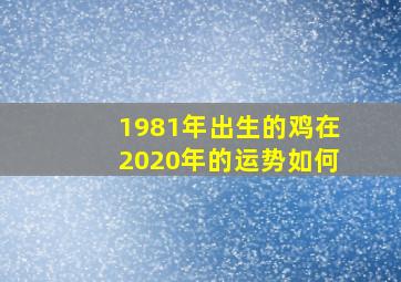 1981年出生的鸡在2020年的运势如何