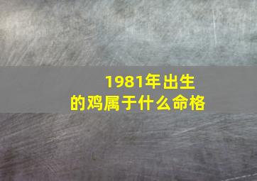 1981年出生的鸡属于什么命格