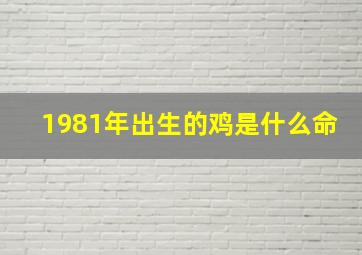 1981年出生的鸡是什么命