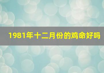 1981年十二月份的鸡命好吗