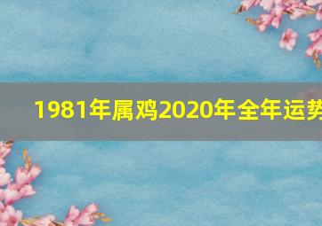 1981年属鸡2020年全年运势