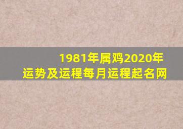 1981年属鸡2020年运势及运程每月运程起名网