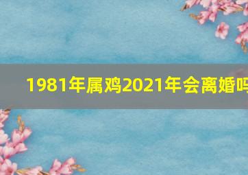 1981年属鸡2021年会离婚吗