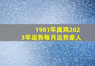 1981年属鸡2023年运势每月运势家人