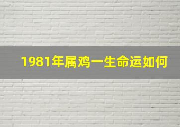 1981年属鸡一生命运如何