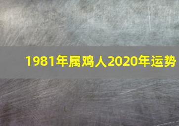 1981年属鸡人2020年运势