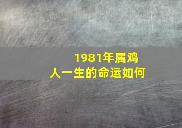 1981年属鸡人一生的命运如何