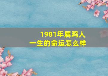 1981年属鸡人一生的命运怎么样