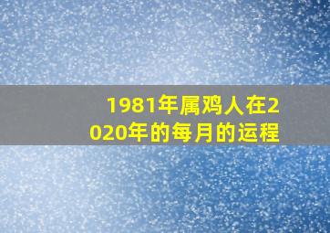 1981年属鸡人在2020年的每月的运程