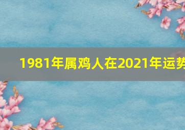 1981年属鸡人在2021年运势