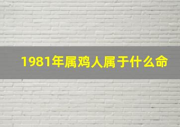 1981年属鸡人属于什么命