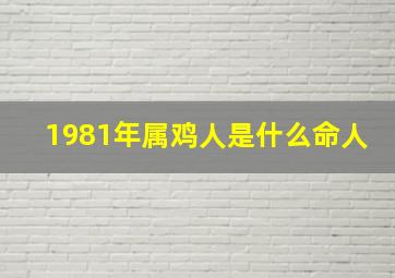 1981年属鸡人是什么命人