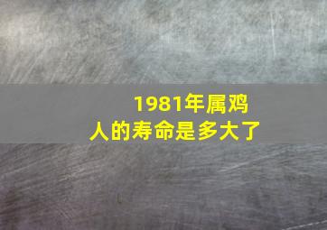 1981年属鸡人的寿命是多大了