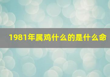 1981年属鸡什么的是什么命