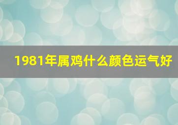 1981年属鸡什么颜色运气好