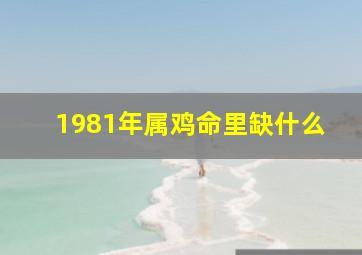 1981年属鸡命里缺什么