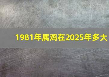 1981年属鸡在2025年多大